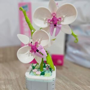Mini Orchid
