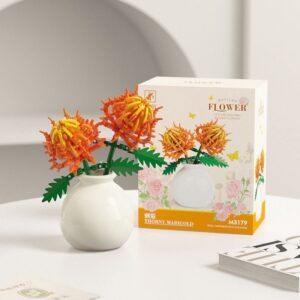 Marigold Pot Plant
